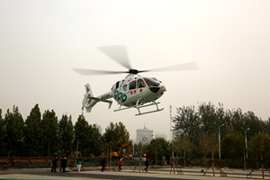 中文字幕无码人妻少妇免费视频