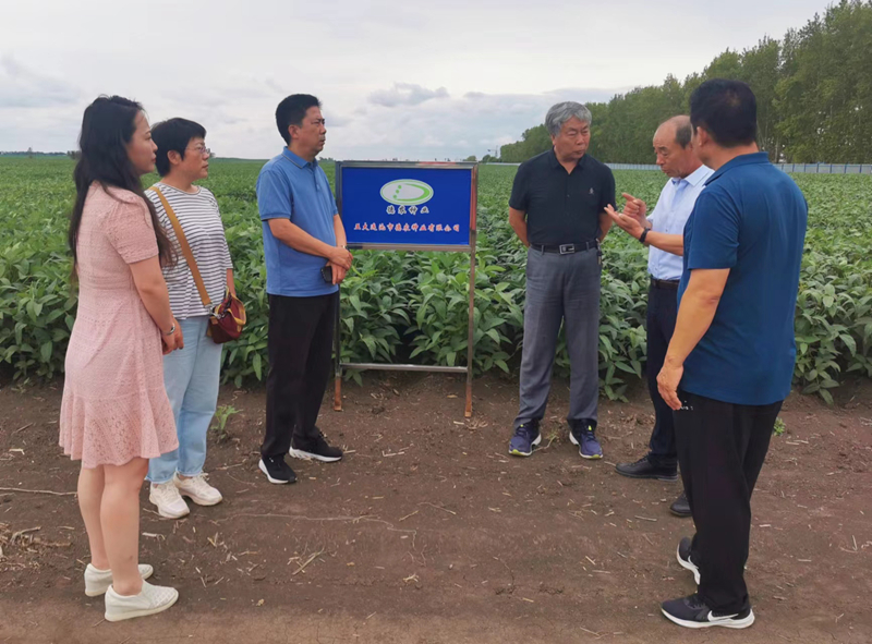中文字幕无码人妻少妇免费视频