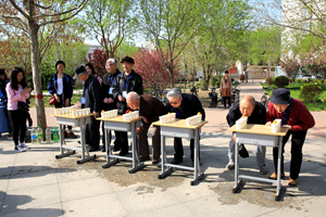 中文字幕无码人妻少妇免费视频