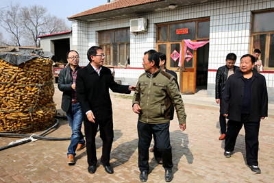 中文字幕无码人妻少妇免费视频