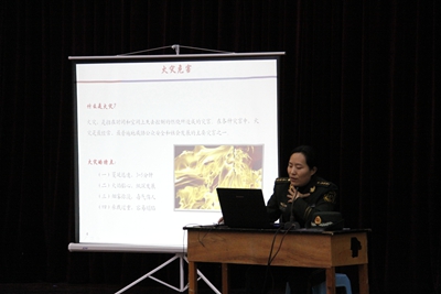 中文字幕无码人妻少妇免费视频