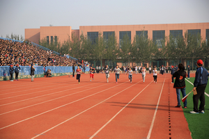 中文字幕无码人妻少妇免费视频