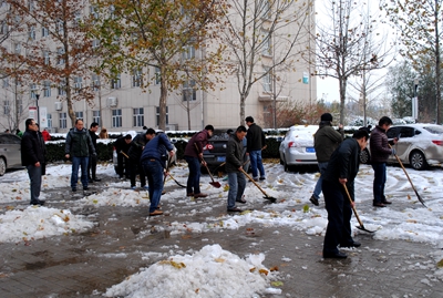 中文字幕无码人妻少妇免费视频