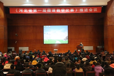 中文字幕无码人妻少妇免费视频