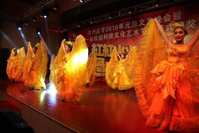 中文字幕无码人妻少妇免费视频