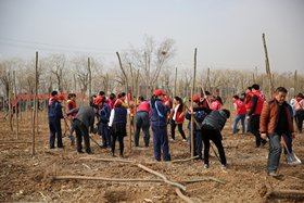 中文字幕无码人妻少妇免费视频