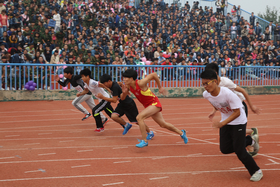中文字幕无码人妻少妇免费视频