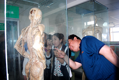 中文字幕无码人妻少妇免费视频