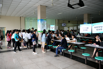 中文字幕无码人妻少妇免费视频