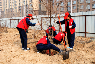 中文字幕无码人妻少妇免费视频