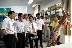 中文字幕无码人妻少妇免费视频