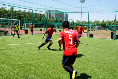 中文字幕无码人妻少妇免费视频