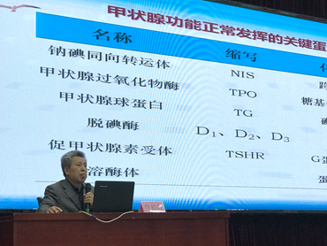 中文字幕无码人妻少妇免费视频