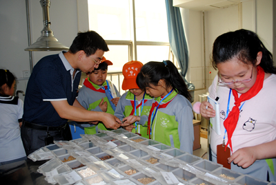 中文字幕无码人妻少妇免费视频