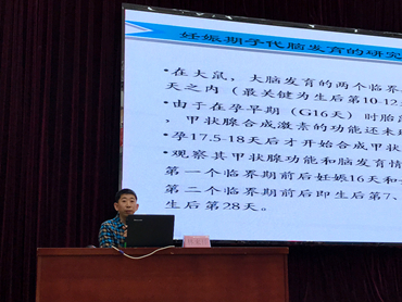 中文字幕无码人妻少妇免费视频