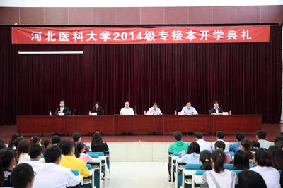 中文字幕无码人妻少妇免费视频