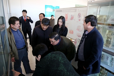 中文字幕无码人妻少妇免费视频
