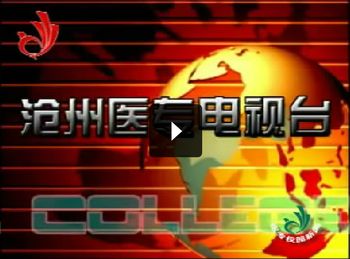 中文字幕无码人妻少妇免费视频