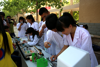 中文字幕无码人妻少妇免费视频