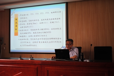 中文字幕无码人妻少妇免费视频